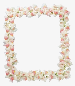 Floral Frame Png - Picture Frame, Transparent Png, Transparent PNG