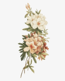 #flower #kpop #retro #vintage #tumblr #overlays #background - White Flower Vintage Png, Transparent Png, Transparent PNG