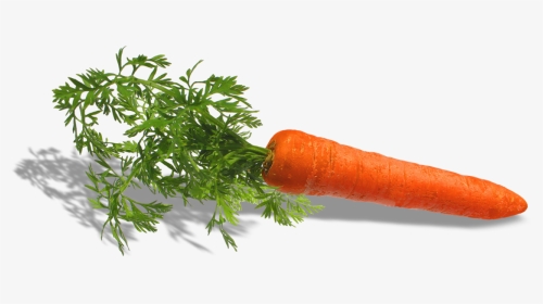 Fruit Et Legumes - Carrot, HD Png Download, Transparent PNG