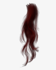 Cb Hair Png Download - Hair Png For Editing, Transparent Png , Transparent  Png Image - PNGitem