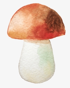 有机蔬菜蘑菇实物拍摄 - Mushroom Watercolor Png, Transparent Png, Transparent PNG