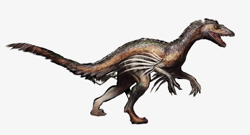 Velociraptor Troodon Survival Evolved Tyrannosaurus - Ark Troodon Png, Transparent Png, Transparent PNG