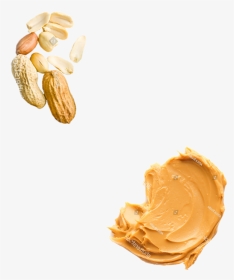 Protein Bar - Cashew, HD Png Download, Transparent PNG