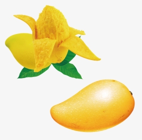 Seed Clipart Mango Seed - Mango With Seed Png Hd, Transparent Png, Transparent PNG