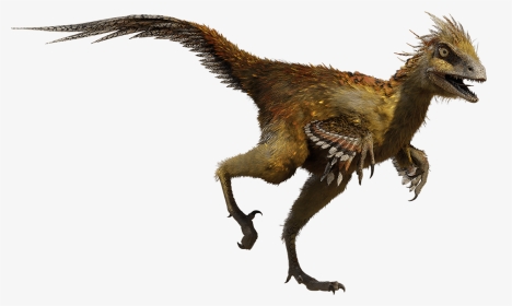 Thumb Image - Color Is The Troodon, HD Png Download, Transparent PNG
