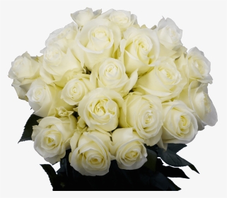 White Rose Flowers - Cut Flowers, HD Png Download, Transparent PNG