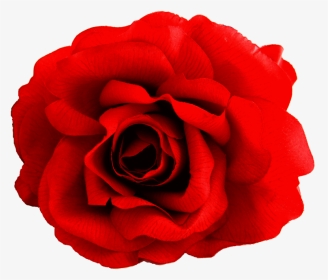 Spanish Red Flower Png, Transparent Png, Transparent PNG