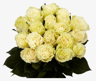 White Roses Fresh Mondial Roses Flowers Direct - Floribunda, HD Png Download, Transparent PNG