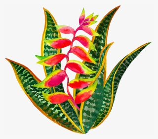 0060d, HD Png Download, Transparent PNG