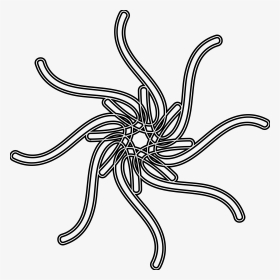 Sun Clipart Drawing Banner Black And White Download - Insect, HD Png Download, Transparent PNG