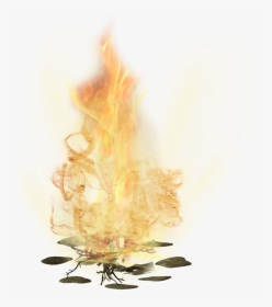 Fire - Macro Photography, HD Png Download, Transparent PNG