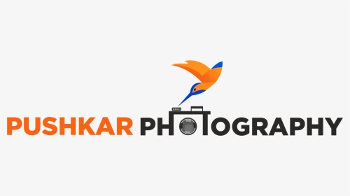 Logo - Graphic Design, HD Png Download, Transparent PNG