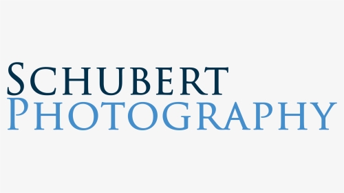 Schubert Photography - Fête De La Musique, HD Png Download, Transparent PNG