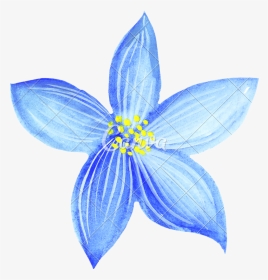 Hand Of Blue Flowers - Blue Flower Drawing Png, Transparent Png, Transparent PNG