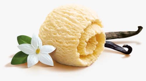 Slow-melting Ice Cream - Ice Cream Vanilla Flavor Png, Transparent Png, Transparent PNG
