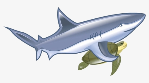 Shark, HD Png Download, Transparent PNG