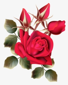 Rose Fresh Flowers, HD Png Download, Transparent PNG