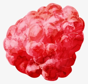 实拍新鲜水果覆盆子png - Raspberry, Transparent Png, Transparent PNG