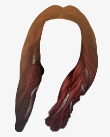 #colorhair #colorhairstyle #style #hair - Wood, HD Png Download, Transparent PNG