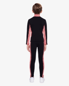 Wetsuit, HD Png Download, Transparent PNG