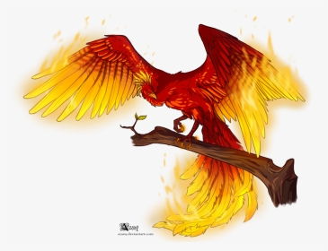 Drawing For Free - Phoenix With White Background, HD Png Download, Transparent PNG