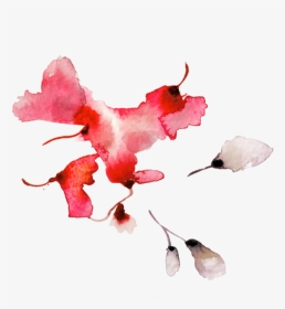 Lookbook River Blossom Leaves - Watercolor Paint, HD Png Download, Transparent PNG