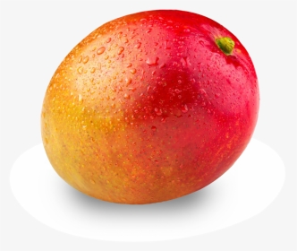 Ag-mango - Mango, HD Png Download, Transparent PNG