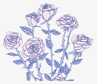 #rose #roses #pink #flower #aesthetic #art #cute #sticker - Garden Roses, HD Png Download, Transparent PNG