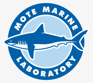 Mote Marine Laboratory & Aquarium, HD Png Download, Transparent PNG