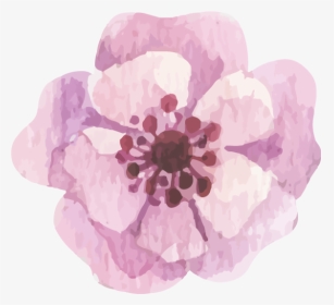 ##watercolour #watercolor #flower #floral - Anemone, HD Png Download, Transparent PNG