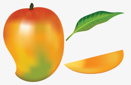 Mango Fruit By Navdbest On Deviantart Picture Royalty - Mango Drawing With Color, HD Png Download, Transparent PNG