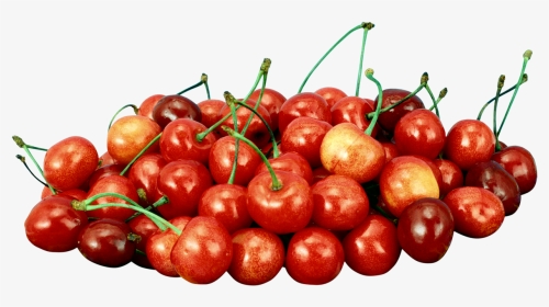 Tubes Fruits Et Legumes - Acerola Cherry Png Transparente, Png Download, Transparent PNG