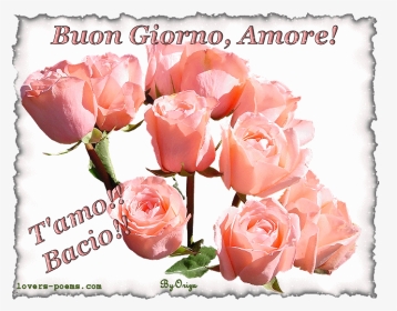 Buongiorno Frasi Gif Amore, HD Png Download, Transparent PNG