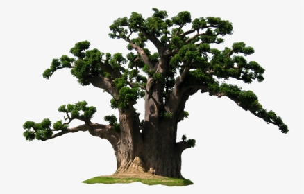 Size Pix - Baobab Tree Png Transparent, Png Download, Transparent PNG