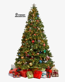 Christmas Tree Transparent Background - Christmas Tree Png, Png Download, Transparent PNG