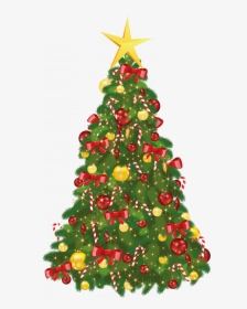 Christmas Tree And Santa Claus, HD Png Download, Transparent PNG