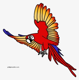 Toucanet Clipart Spring - Rainforest Animal Clip Art, HD Png Download, Transparent PNG