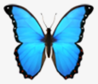 #emoji #emojiface #emojis #cute #aesthetic #multicolor - Blue Butterfly Emoji Png, Transparent Png, Transparent PNG