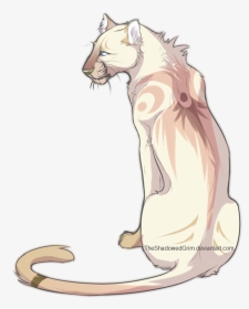 Panther Drawing Anime, HD Png Download, Transparent PNG