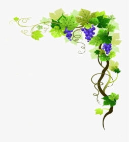 Transparent Vine Plant Clipart - Grape Vine Border Png, Png Download, Transparent PNG