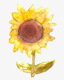 Transparent Watercolor Pngs - Transparent Background Sunflower And Moon Emoji, Png Download, Transparent PNG