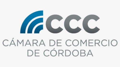 La Cámara De Comercio De Córdoba Fija Posición Institucional - Volleyball Silhouette, HD Png Download, Transparent PNG