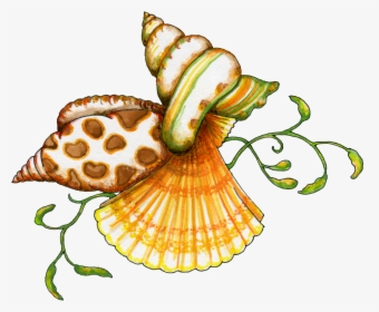 Sea Shells Clip Art, HD Png Download, Transparent PNG
