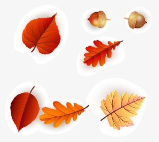 Continental Colorful Fresh Maple Leaf Pattern Vector - Autumn, HD Png Download, Transparent PNG