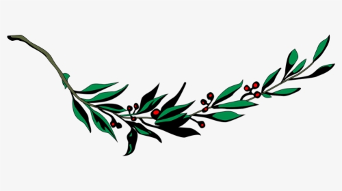 Branch, Laurel, Leaf, Leafy, Leaves, Plant - Laurel Leaf Png, Transparent Png, Transparent PNG