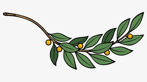 Plant,flora,leaf - Branch Of Leaves Clipart, HD Png Download, Transparent PNG