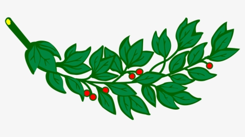 Laurel Branch - Laurel Leaves With Red Fruits Clipart, HD Png Download, Transparent PNG