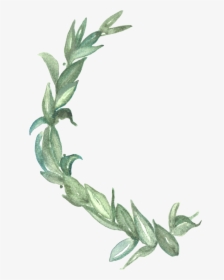 Laurel Wreath Watercolor, HD Png Download, Transparent PNG