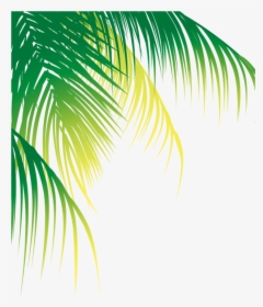 Coconut Leaf Vector Png , Png Download - Coconut Leaf Vector Png, Transparent Png, Transparent PNG