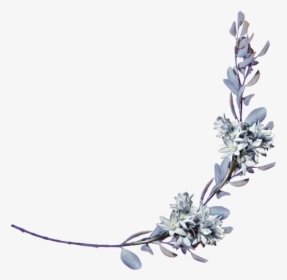 Hyacinths With A Laurel Branch Png By Amalus-d4jhzppright - Shayari Hinglish, Transparent Png, Transparent PNG